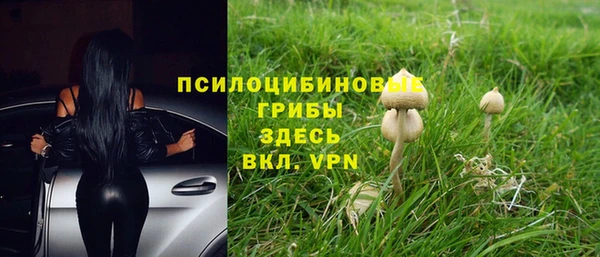 эйфоретик Заволжск