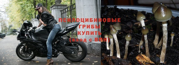 герыч Заводоуковск